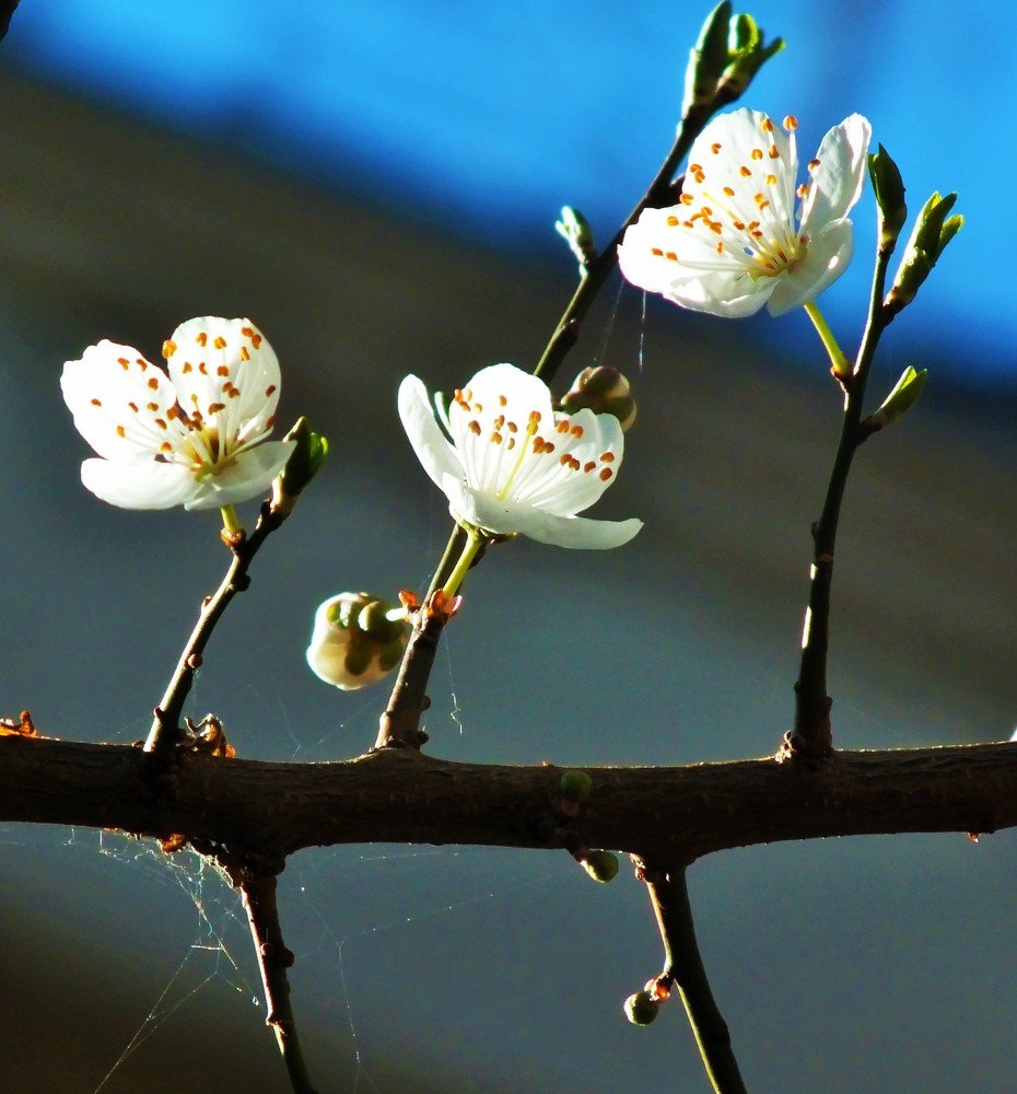 Photograph by Sevgi Duyar