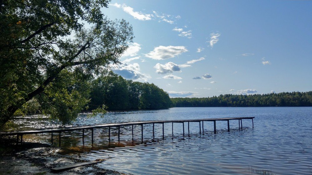 Photo #4556833