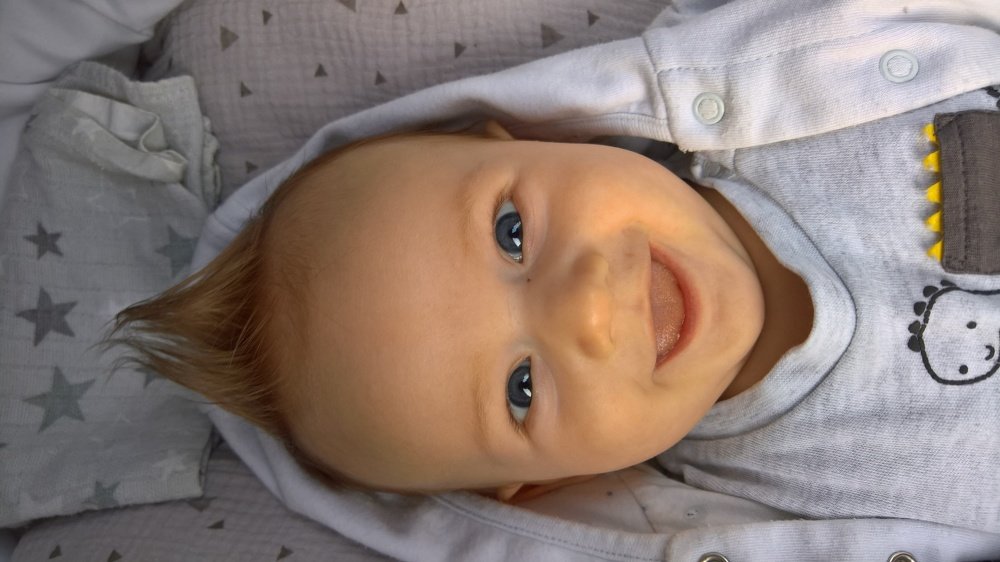 Photo #4556874