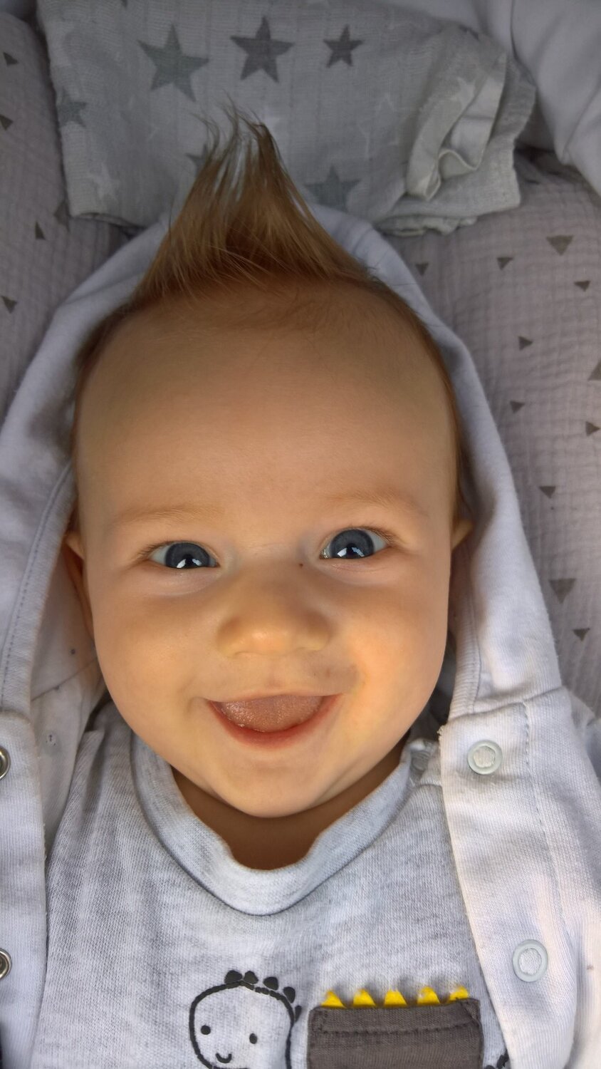 Photo #4556874