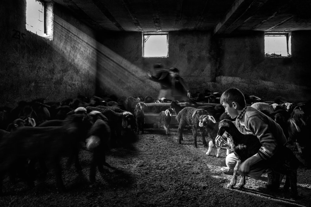 Фотография автора FATIH GONUL