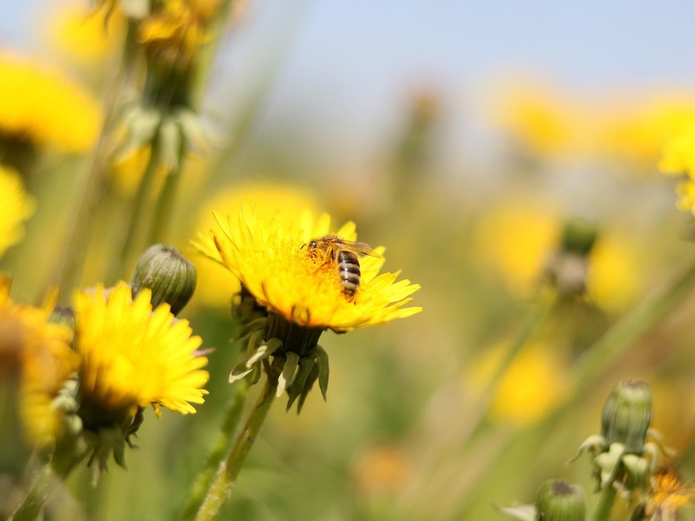 Photograph by Анастасия Рызлеева