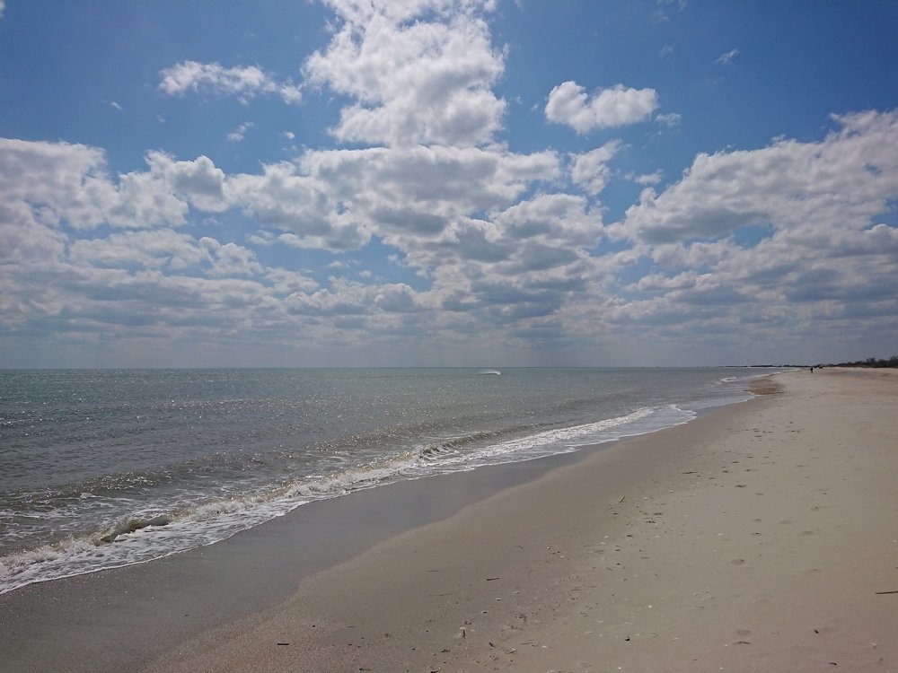 Photo #4556939