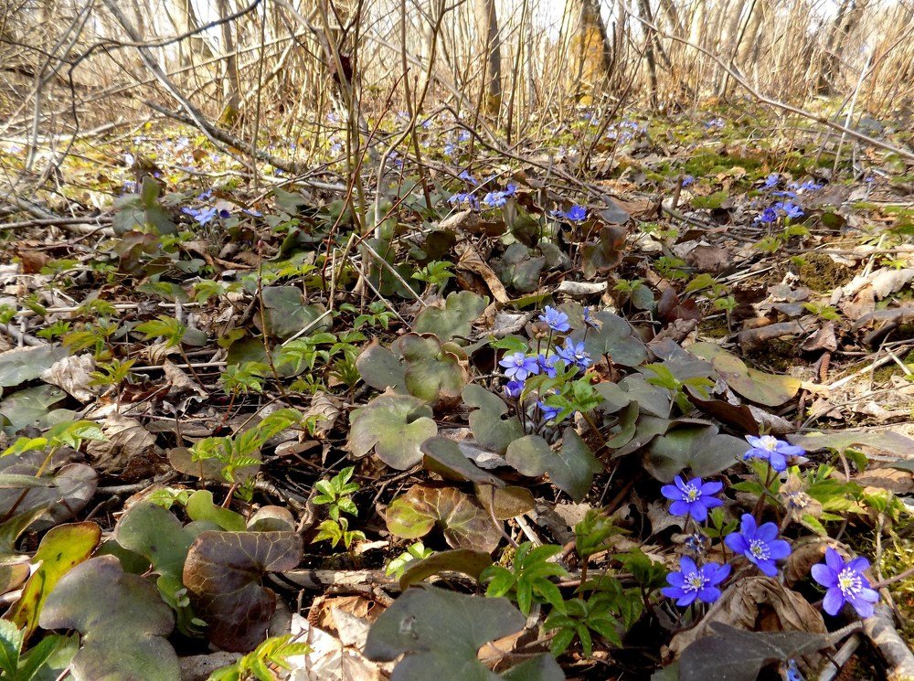 Photograph by Валентина Смирнова