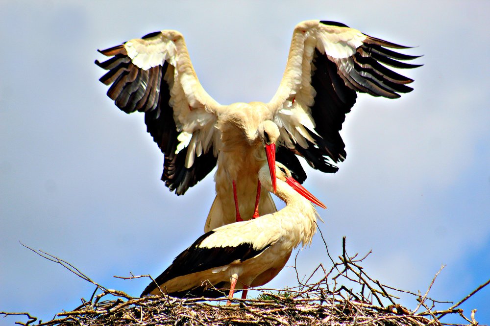 Это любовь.Так не сыграешь.