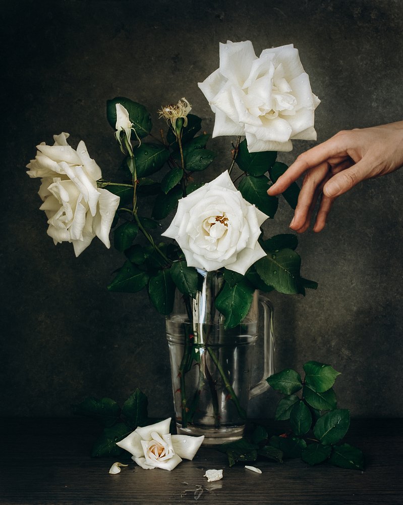 Photograph by Анна Кубашева