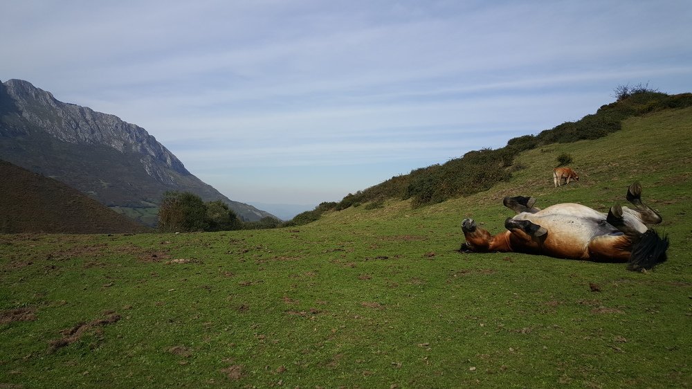 Photograph by Miguel Angel Salvatierra Remesal