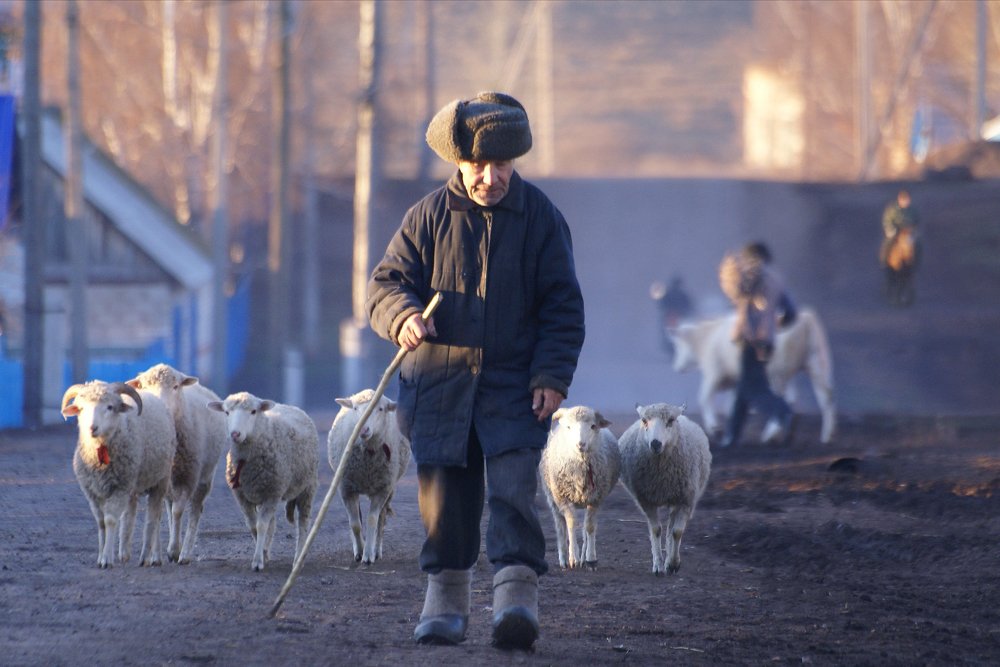 Photograph by Олег Машковский