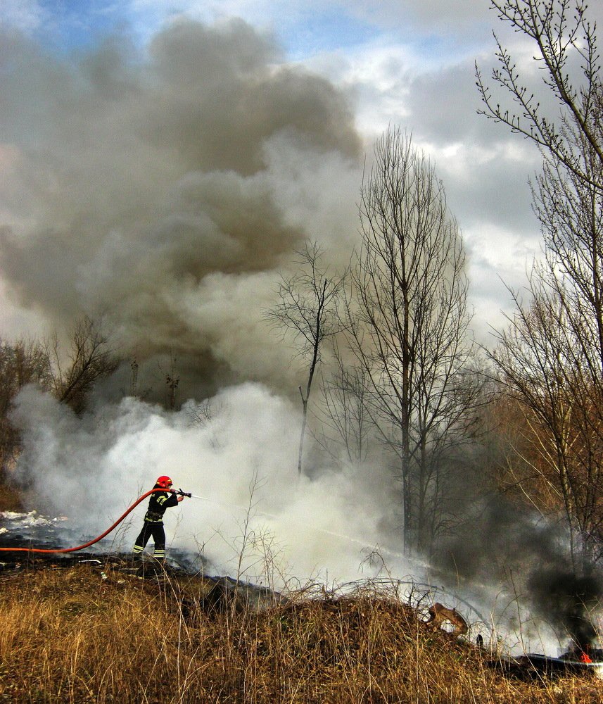 Photograph by Владимир Подкуйко