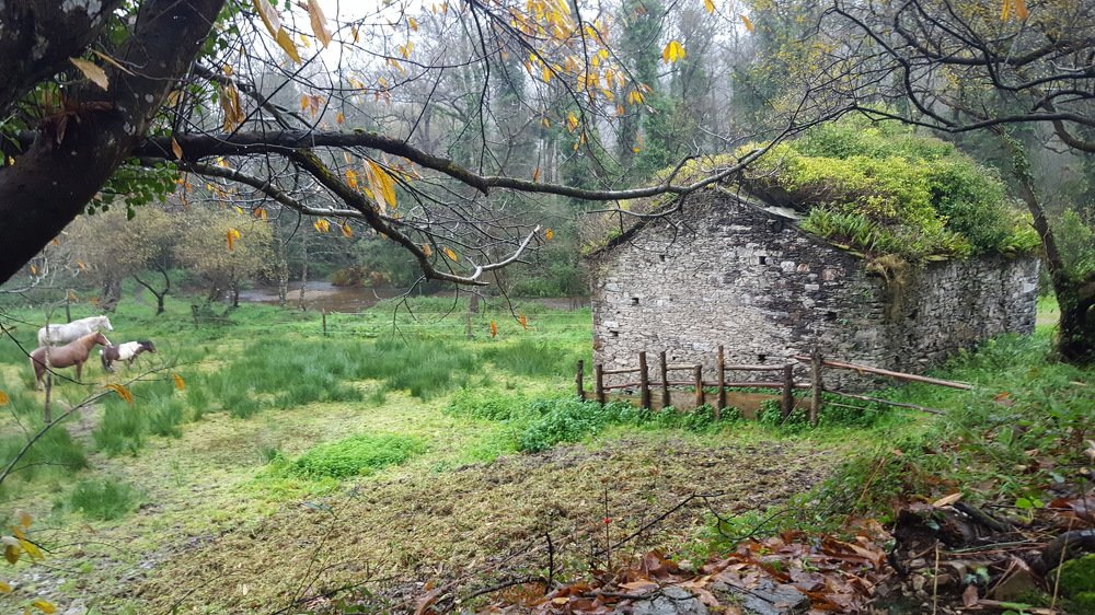 Photograph by Miguel Angel Salvatierra Remesal