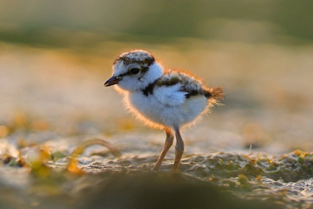 Photograph by Piotr Warzecha