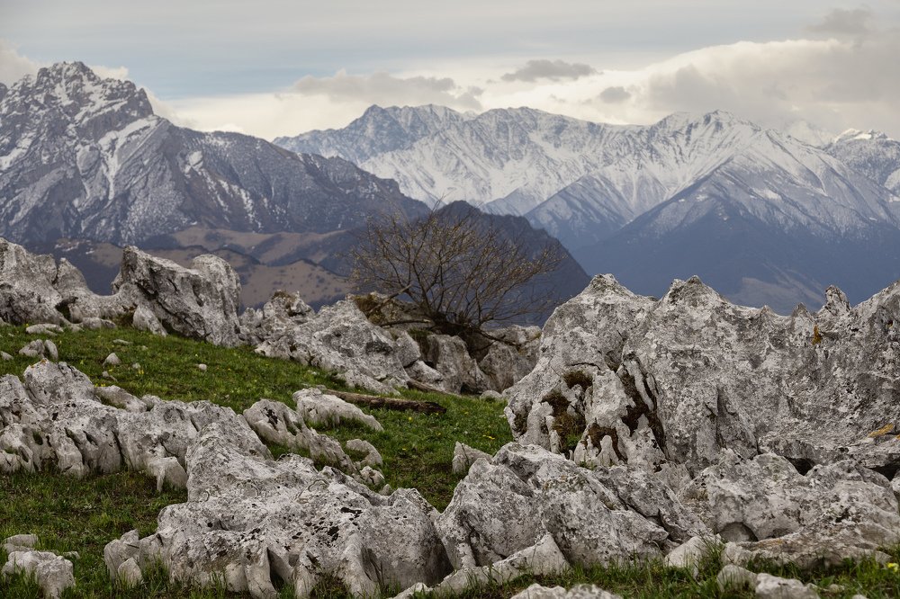 Фотография автора Олег Кожухов