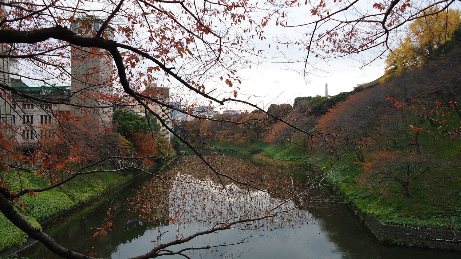 Photo #4557346