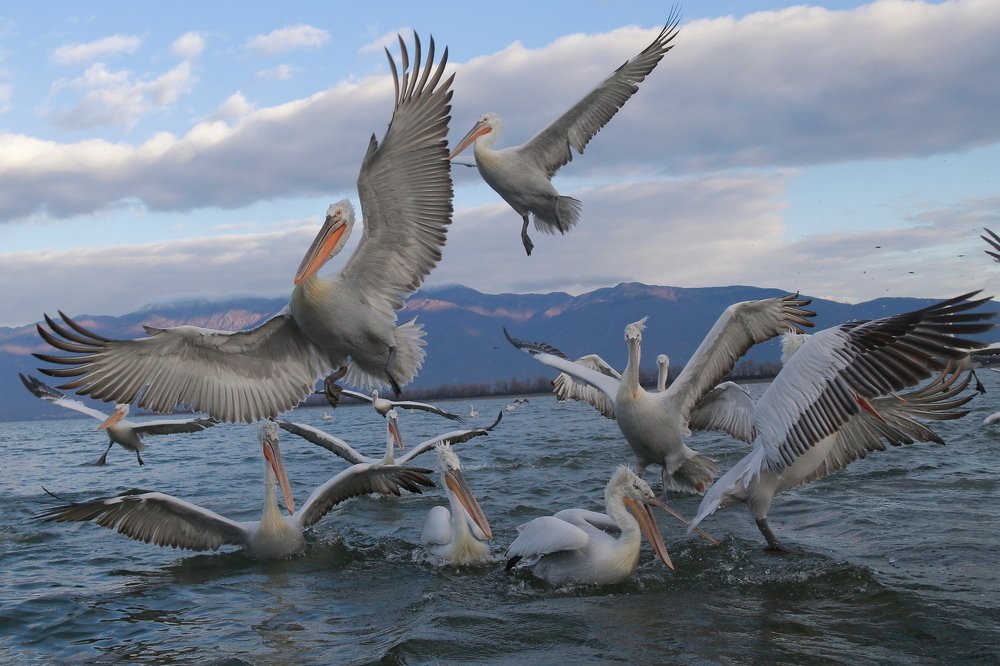 Photograph by Piotr Warzecha