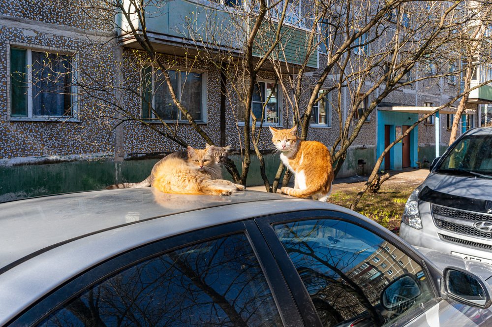 Photograph by Виктор Пономарёв