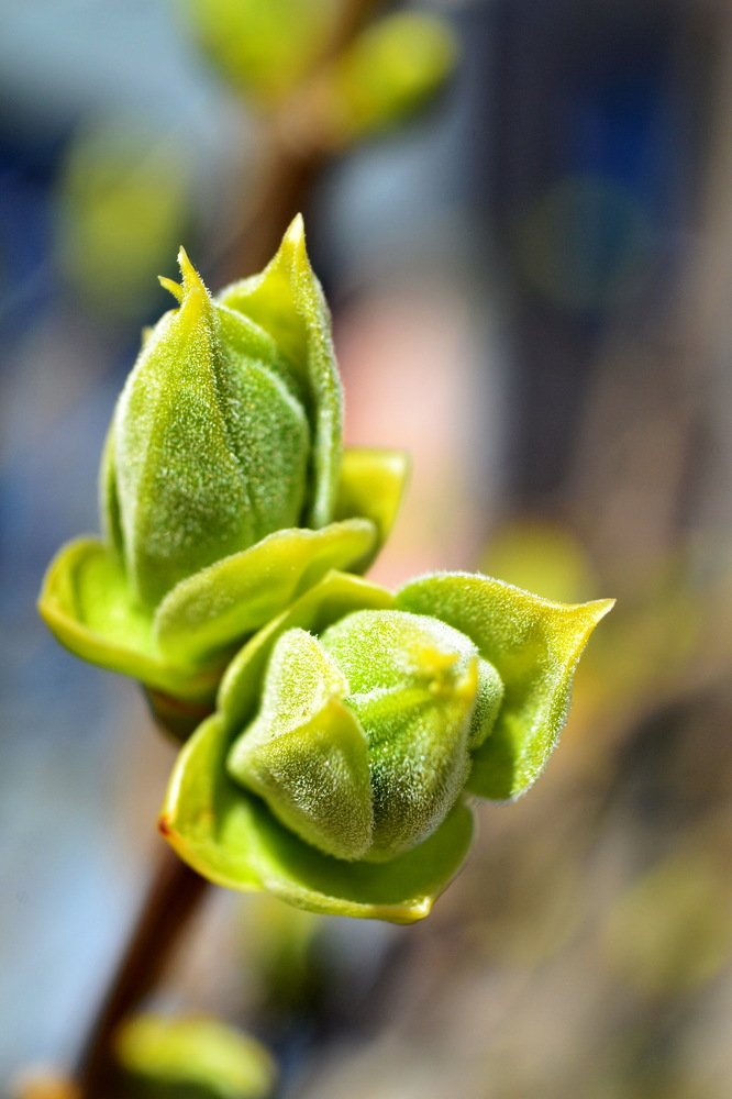 Photograph by Мария Лаврентьева