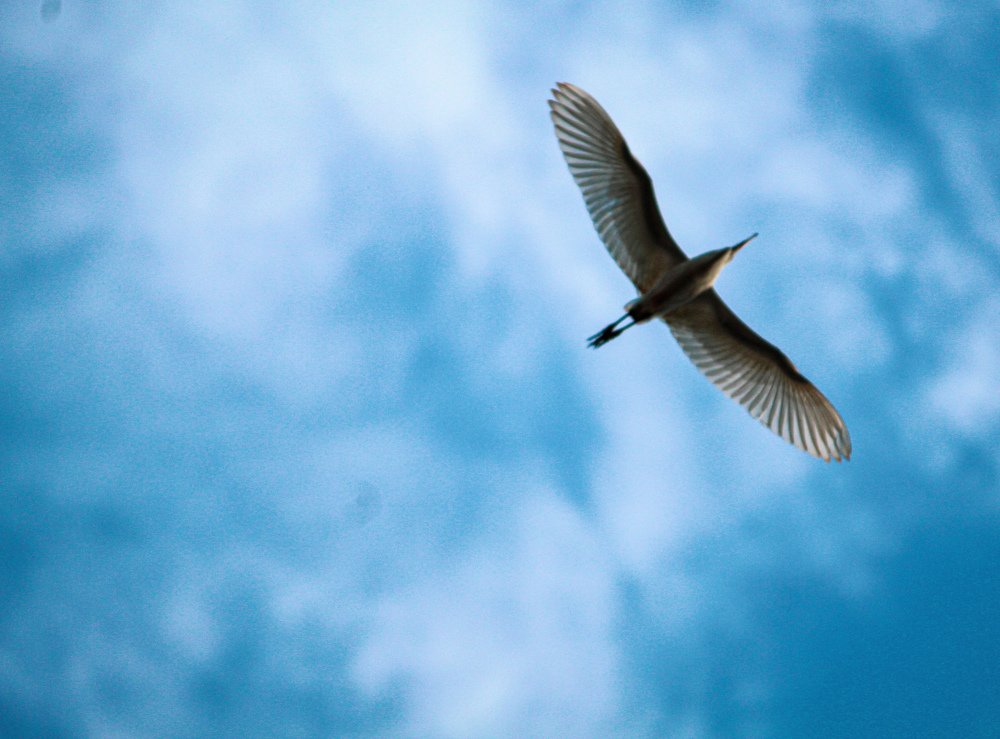 Photograph by Jitesh Ingale