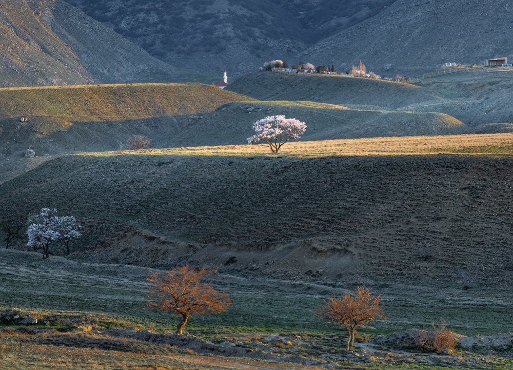 Photograph by Андрей Гусаченко