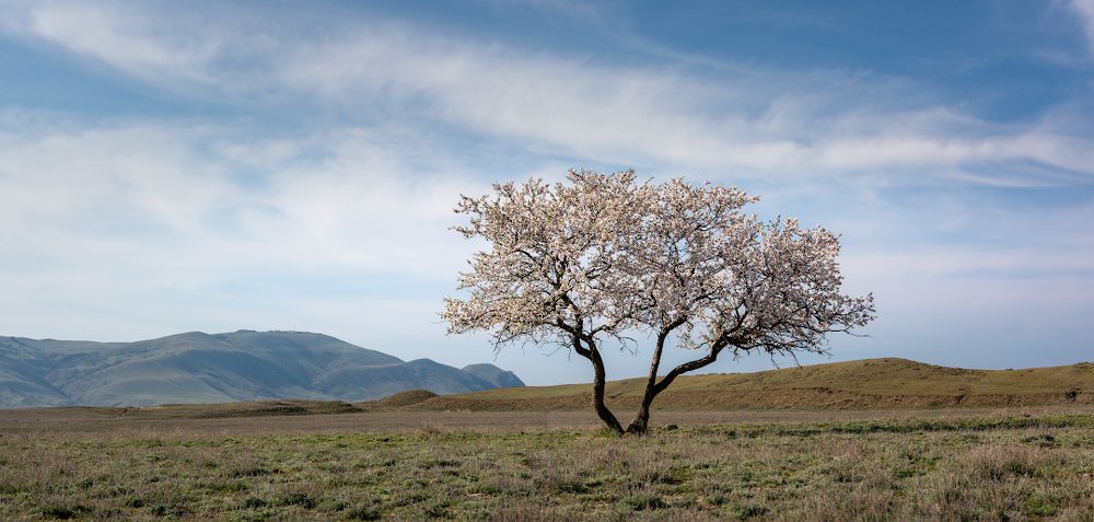 Photograph by Андрей Гусаченко
