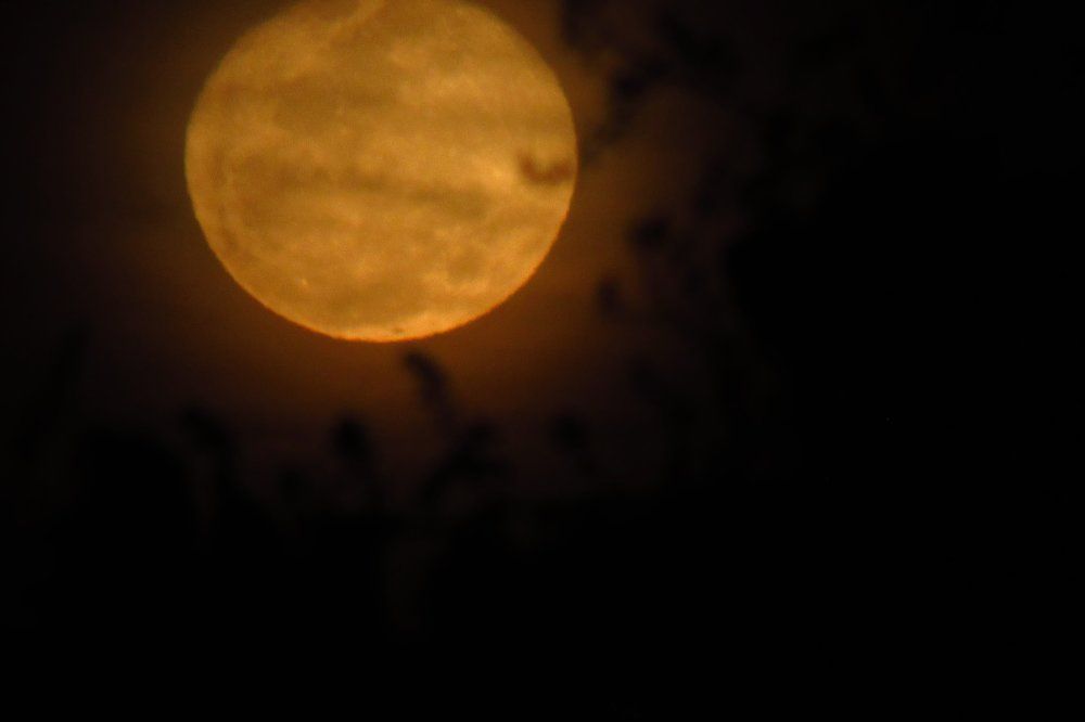 Moon's perspectives