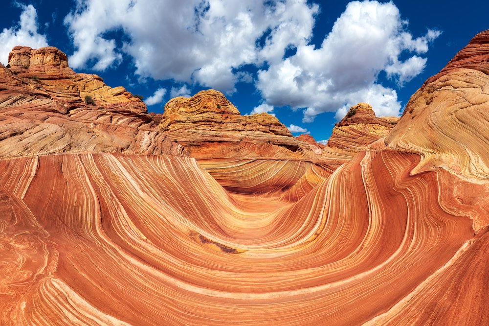 Photograph by Marcin Zajac