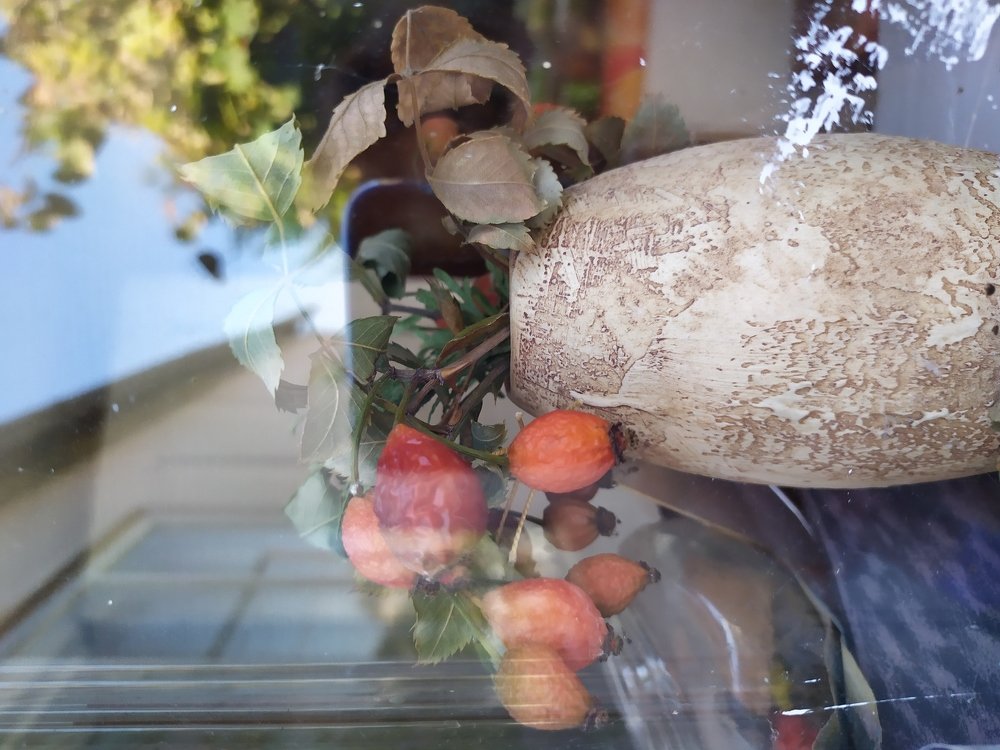 Photograph by Марина