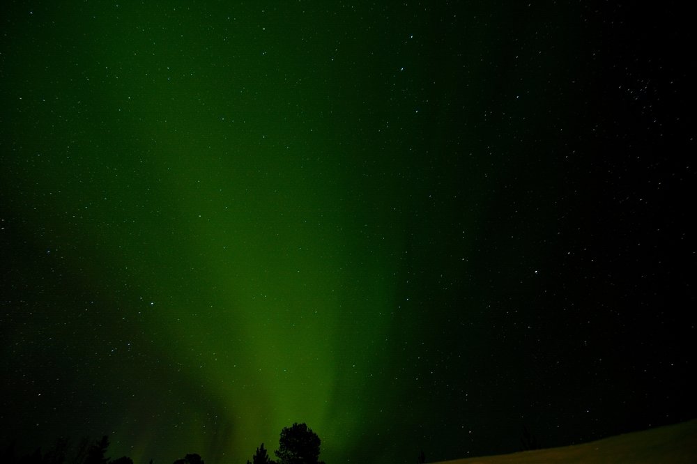 Photograph by Subhajit Saha