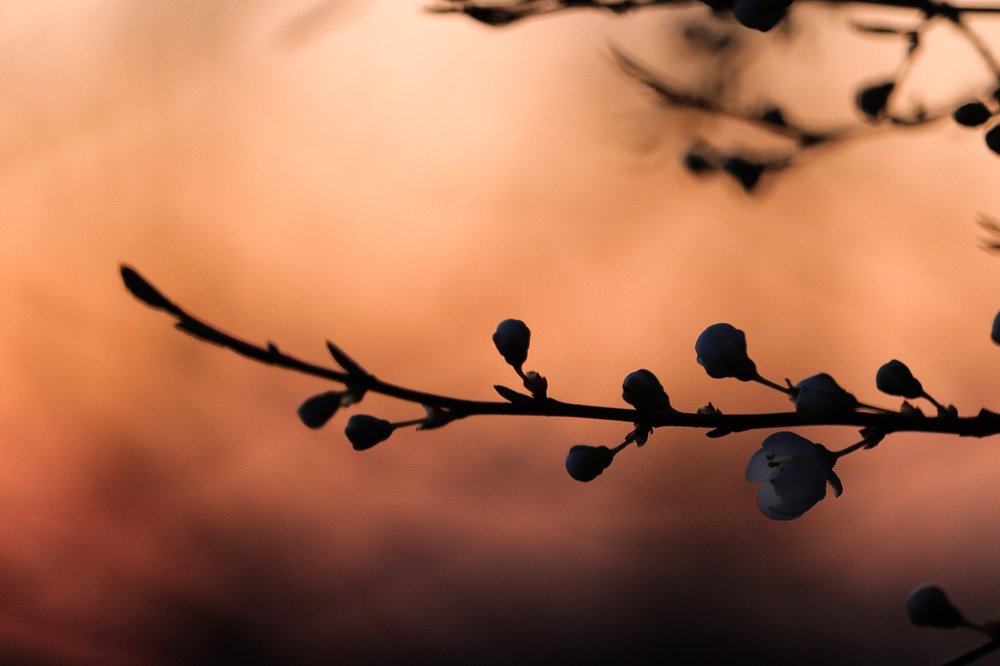 Простягни...