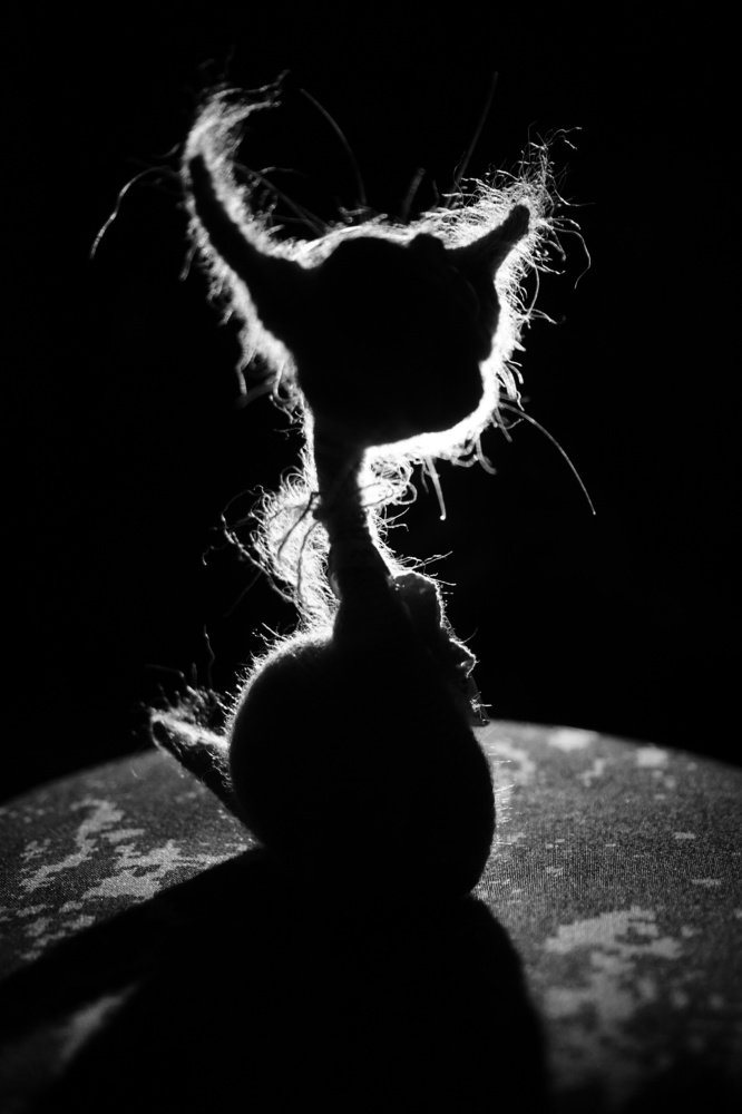 Photograph by Марина Евченко