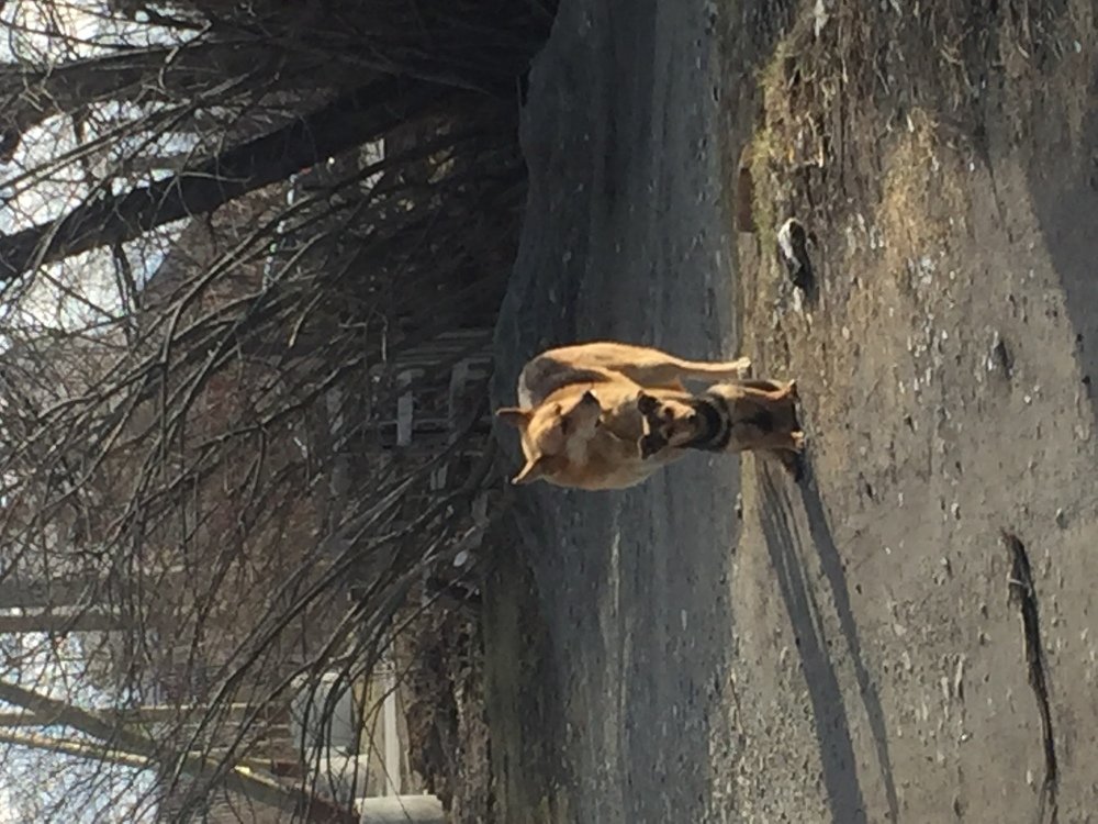 Photograph by Татьяна Гуськова