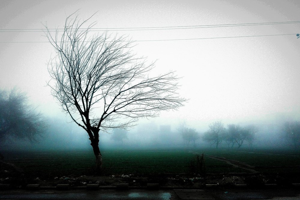Photo #4557912