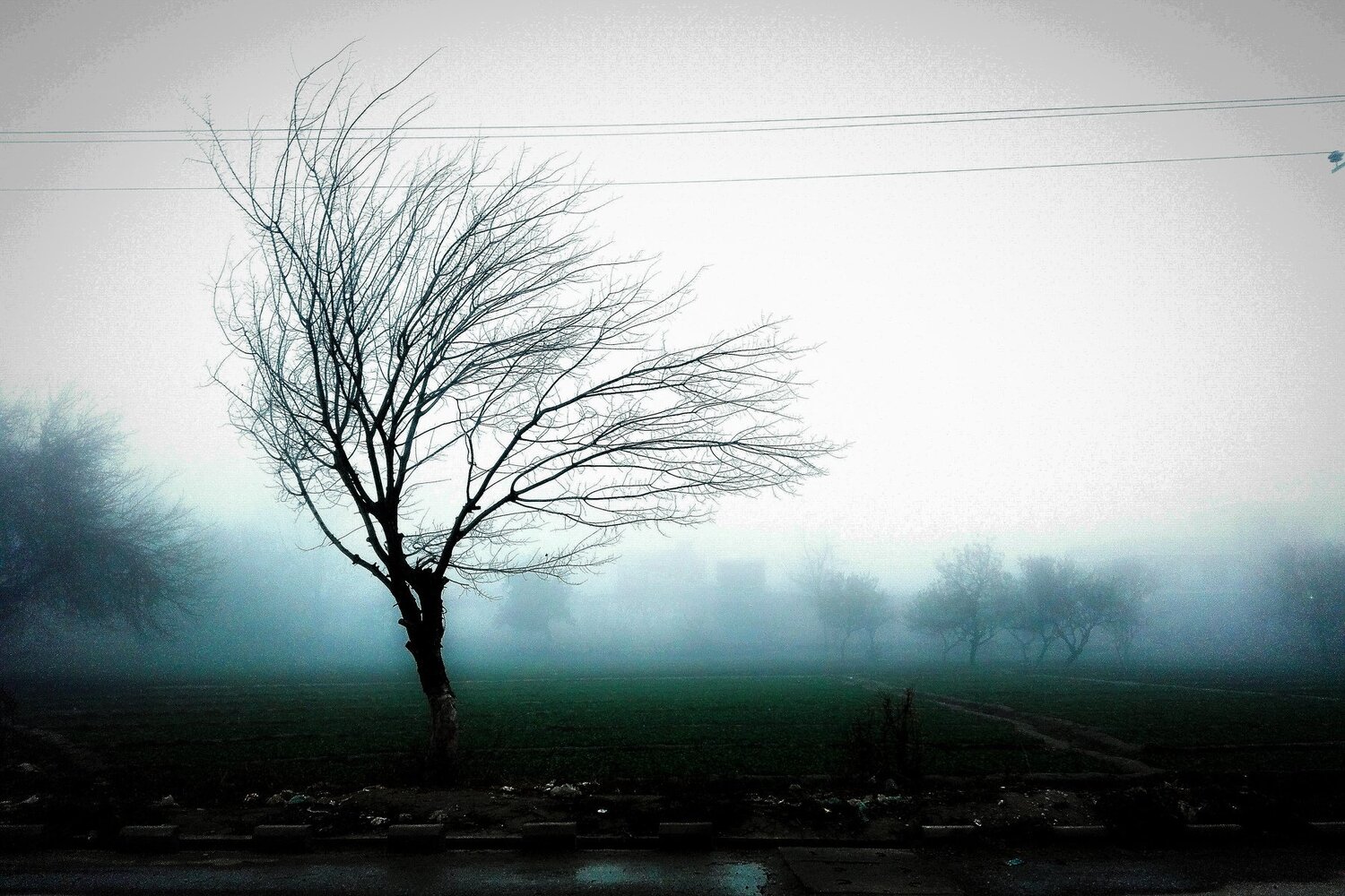 Photo #4557912