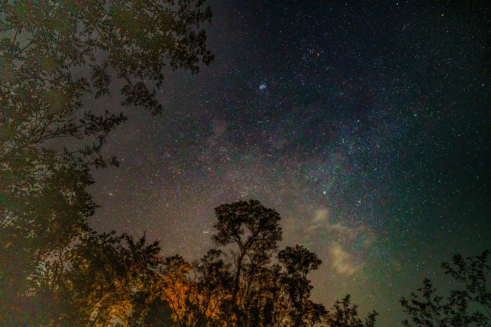 Photograph by Sahibpreet Kochar