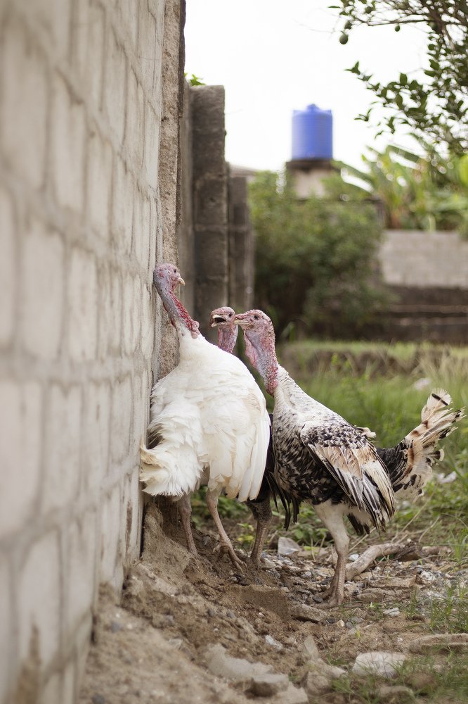 Photograph by Ogundele Ayorinde