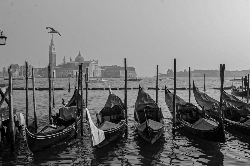 Photograph by Fernanda Arq.