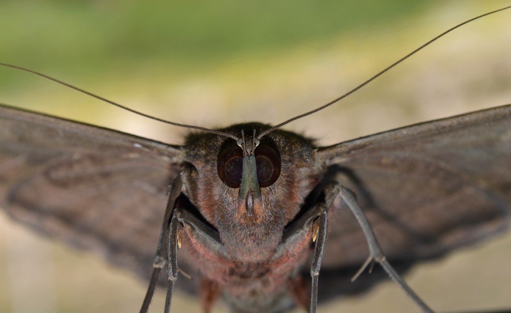 Photograph by Omar Navas