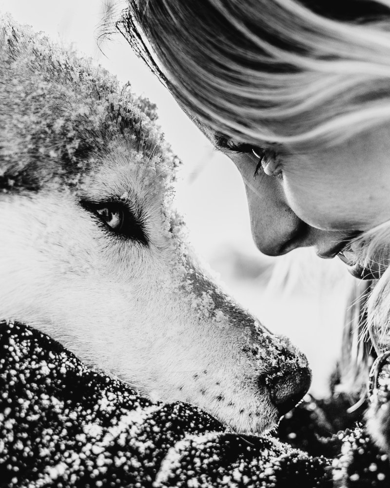 Фотография автора Андрей Вязьмин