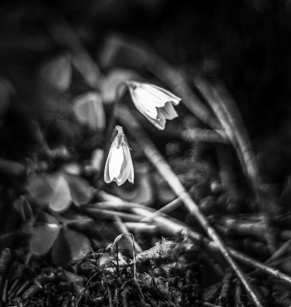 Photograph by Andrejs Peculevics