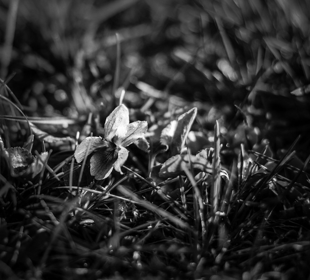 Photograph by Andrejs Peculevics