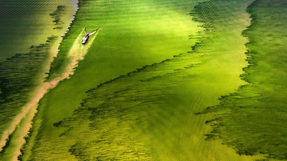 Photograph by VĂN HỢP LÒ