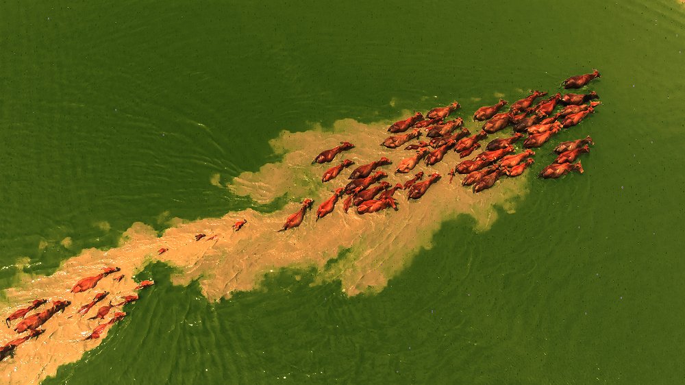 Photograph by VĂN HỢP LÒ