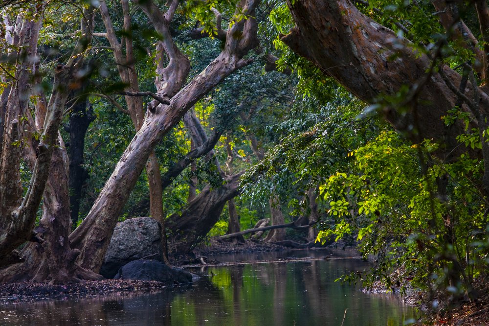 River side friendship