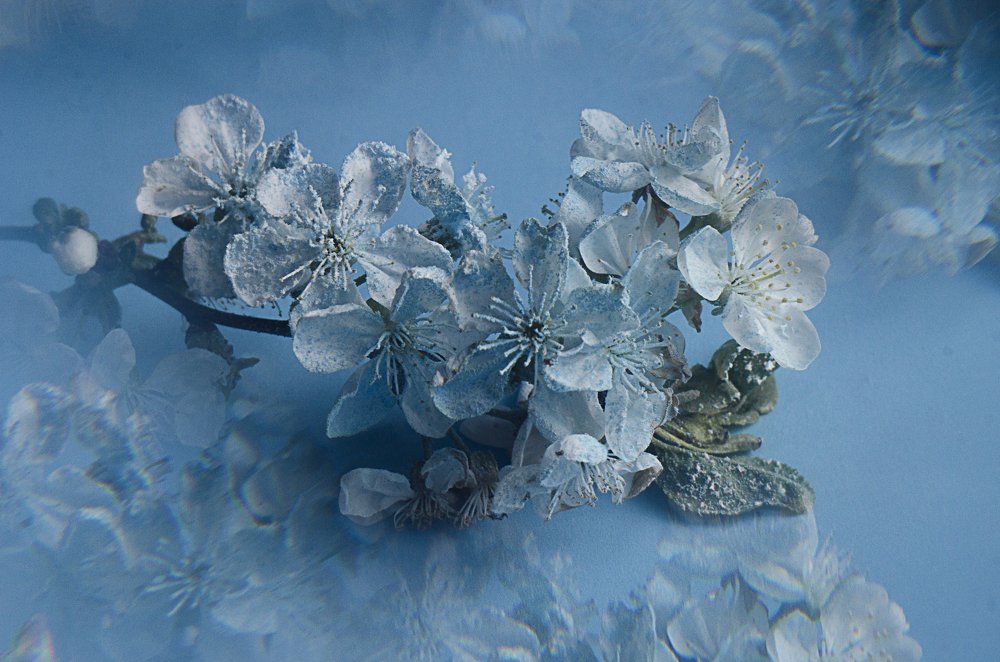 Photograph by Тамара Козлова
