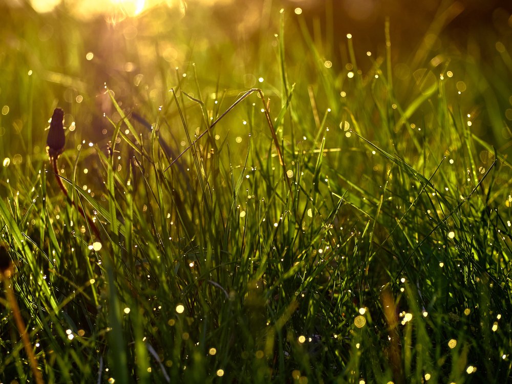 Фотография автора Игорь Игоревич