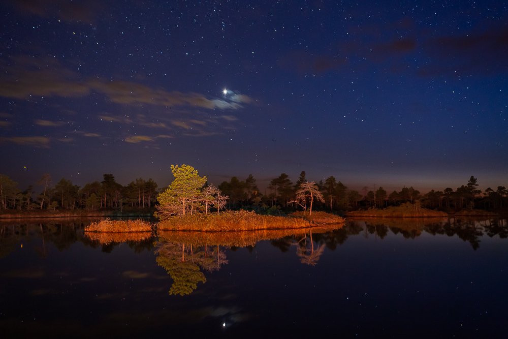 Photograph by Eriks Zilbalodis