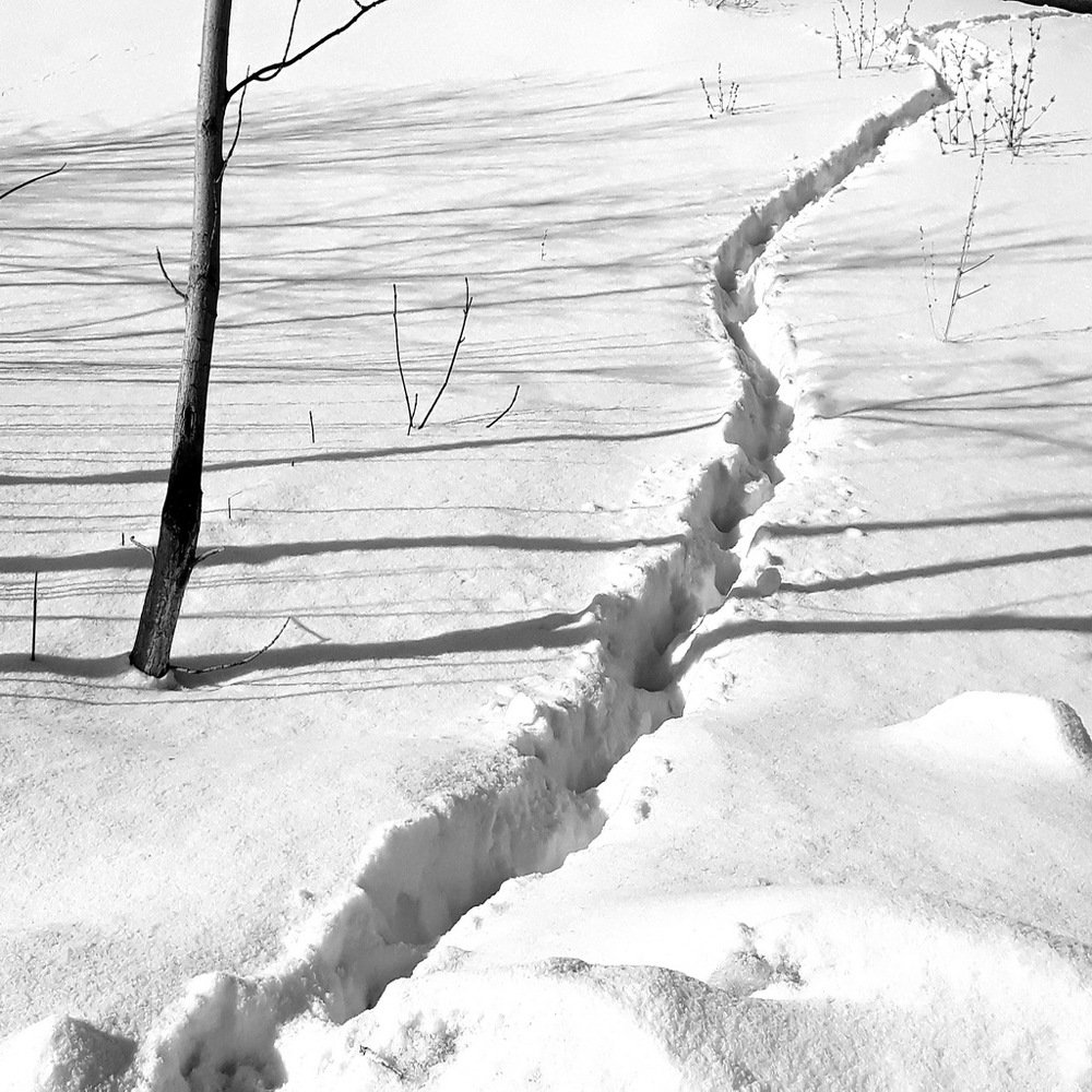 Photograph by Галья Щербина