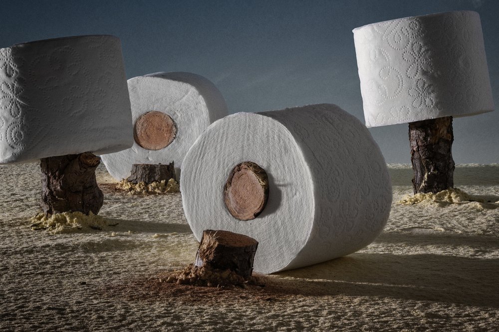 The shape of the trees