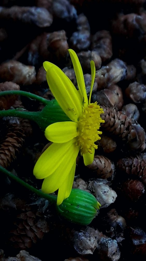 Photograph by Mozhgan Fotouhi