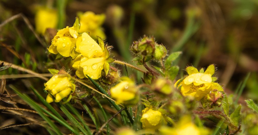 Photograph by Елена Прохорова