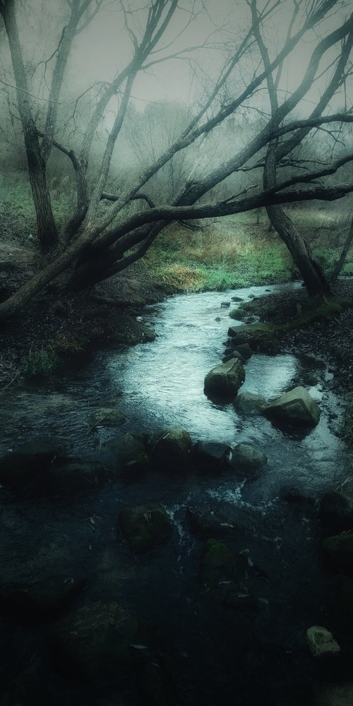 Чёрный ручей